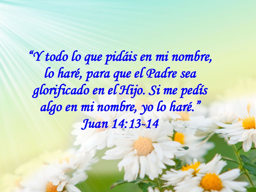 Y TODO LO QUE PIDÁIS EN MI NOMBRE, LO HARÉ – Juan 14:13-14 | Mission  Venture Ministries en Español
