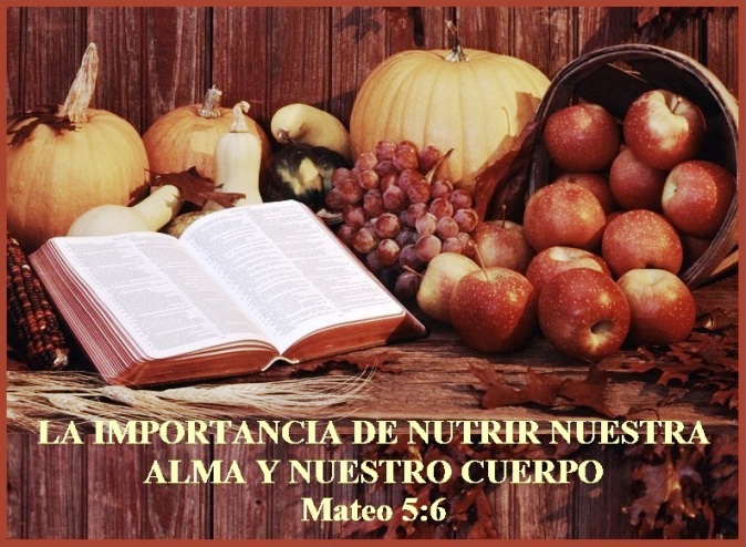 LA IMPORTANCIA DE NUTRIR NUESTRA ALMA Y NUESTRO CUERPO – Mateo 5:6 |  Mission Venture Ministries en Español