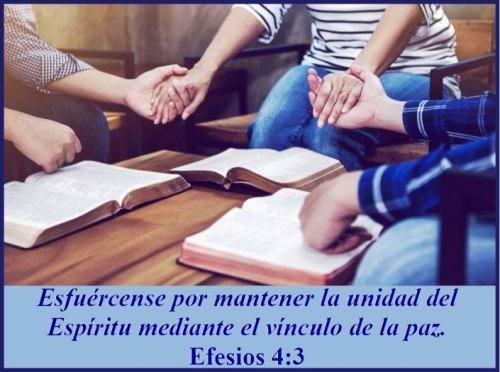 UNIDAD EN EL CUERPO DE CRISTO – Efesios 4:3 | Mission Venture Ministries en  Español